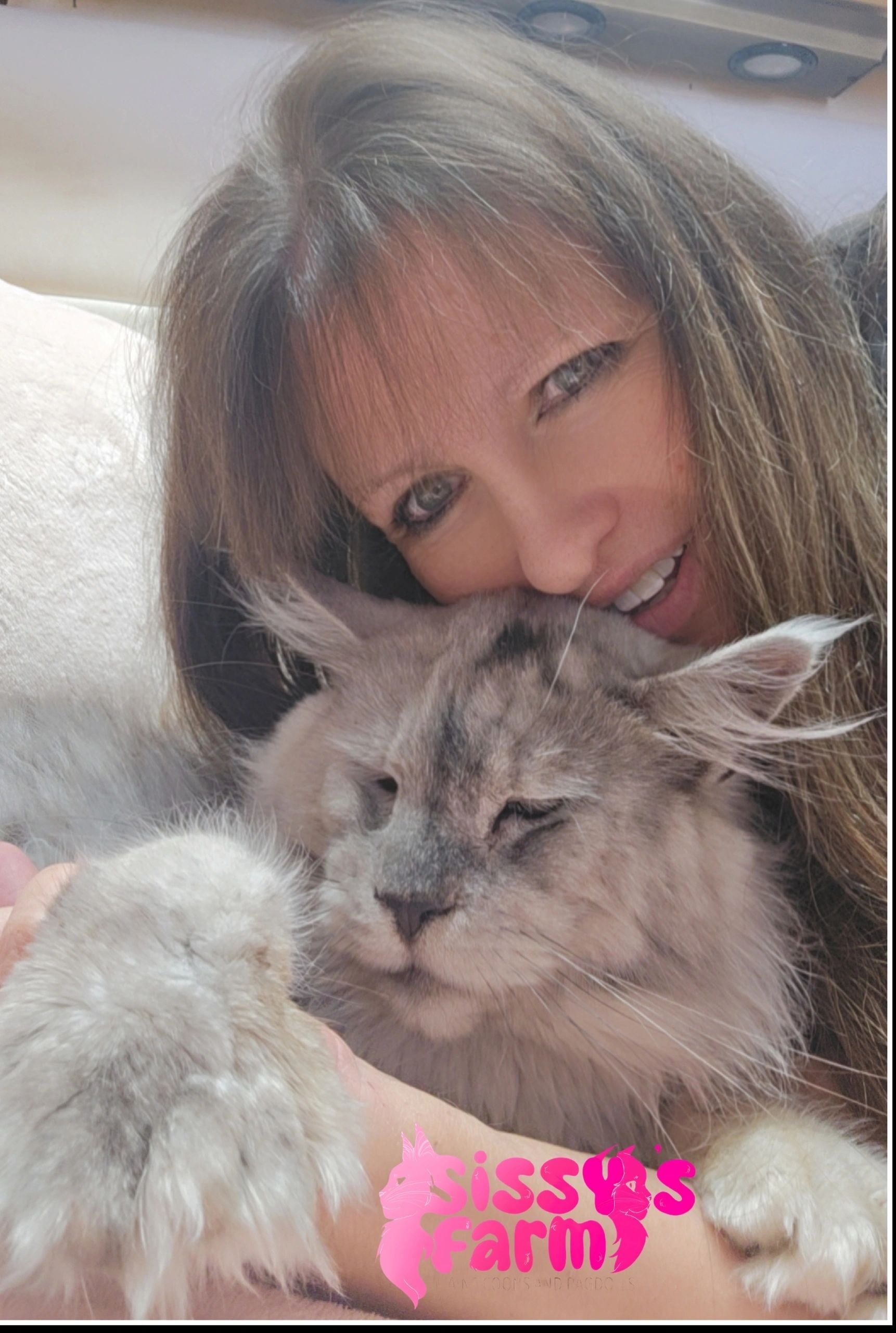 Sissy with her kittens at Sissy's Farm Cattery