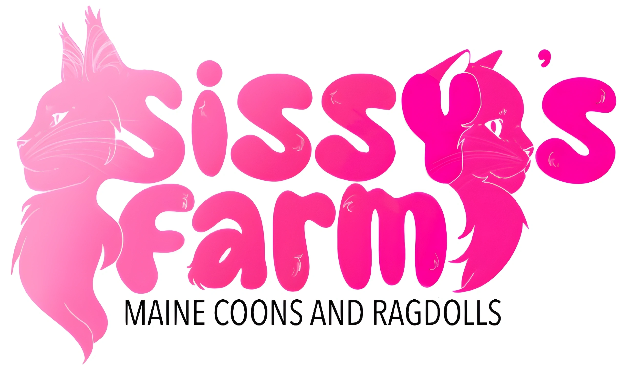 Sissy's Farm — Maine Coons and Ragdolls